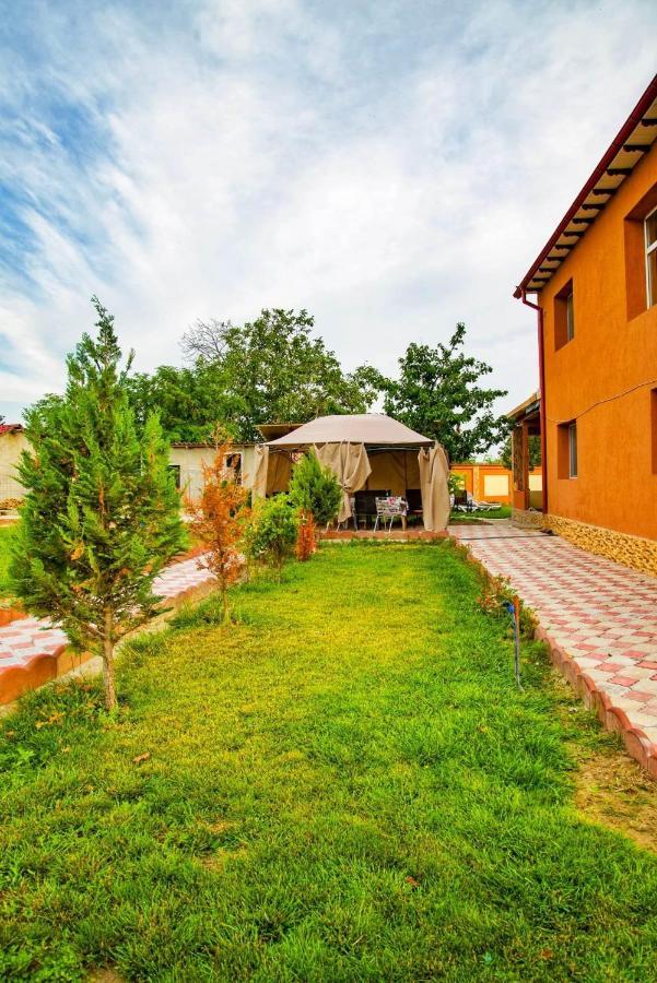 Pensiunea Burciu Salcioara (Dobruja) Exterior foto
