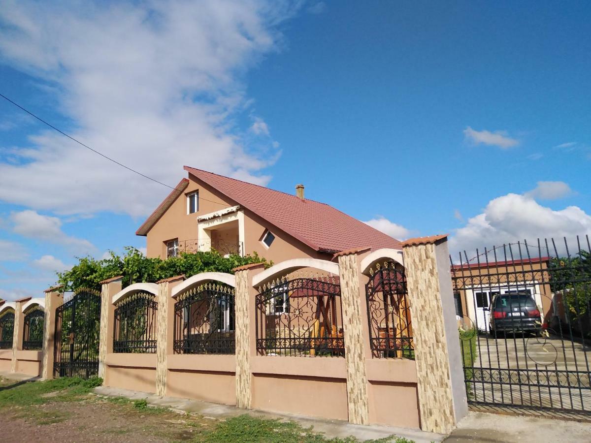Pensiunea Burciu Salcioara (Dobruja) Exterior foto
